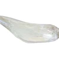 Kia sportage RH 18-22